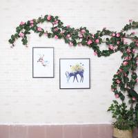 uploads/erp/collection/images/Home Garden/CongDing/XU0611411/img_b/XU0611411_img_b_1